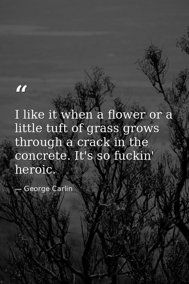 I like it when a flower or a little tuft of grass grows through a crack in the concrete. It's so fuckin' heroic. — George Carlin