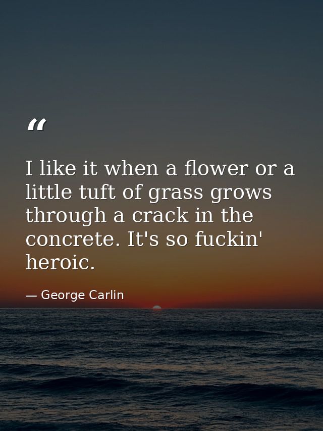 I like it when a flower or a little tuft of grass grows through a crack in the concrete. It's so fuckin' heroic. — George Carlin
