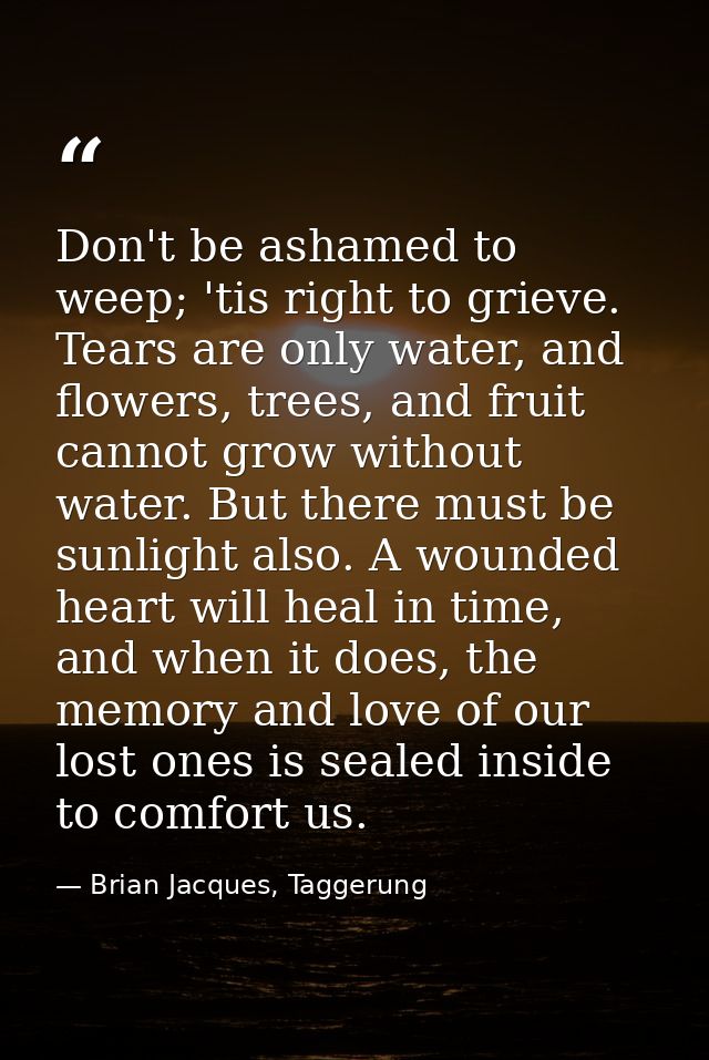 Don't be ashamed to weep; 'tis right to grieve. Tears are only water, and flowers, trees, and fruit cannot grow without  — Brian Jacques, Taggerung