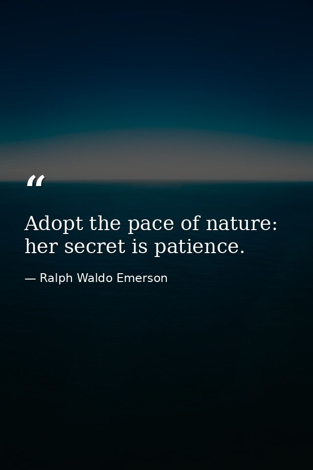 Adopt the pace of nature: her secret is patience. — Ralph Waldo Emerson