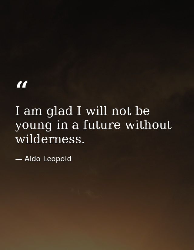 I am glad I will not be young in a future without wilderness. — Aldo Leopold
