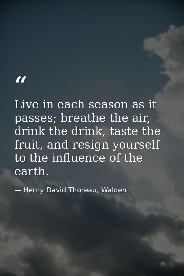 Live in each season as it passes; breathe the air, drink the drink, taste the fruit, and resign yourself to the influenc — Henry David Thoreau, Walden