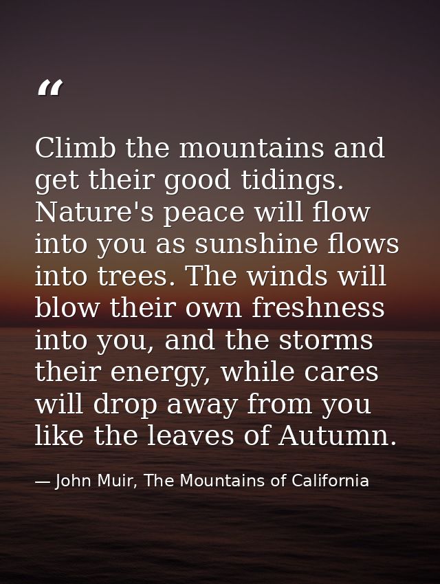 Climb the mountains and get their good tidings. Nature's peace will flow into you as sunshine flows into trees. The wind — John Muir, The Mountains of California