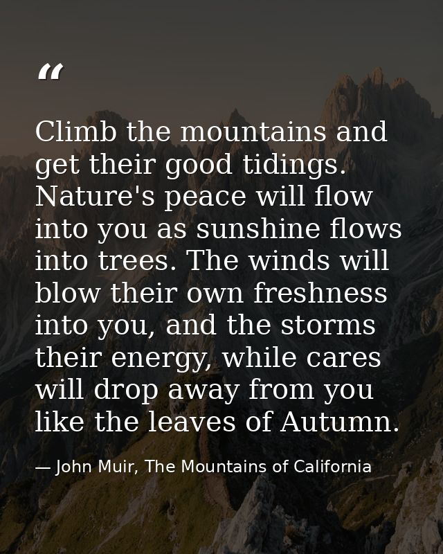 Climb the mountains and get their good tidings. Nature's peace will flow into you as sunshine flows into trees. The wind — John Muir, The Mountains of California