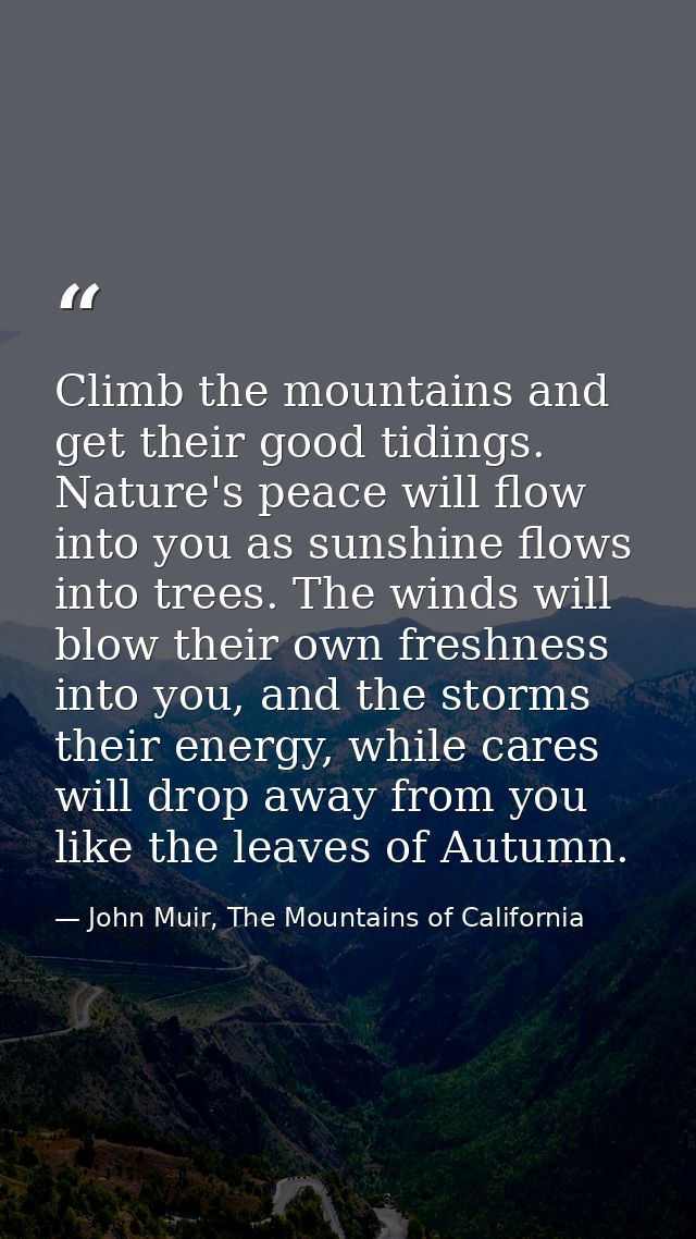 Climb the mountains and get their good tidings. Nature's peace will flow into you as sunshine flows into trees. The wind — John Muir, The Mountains of California