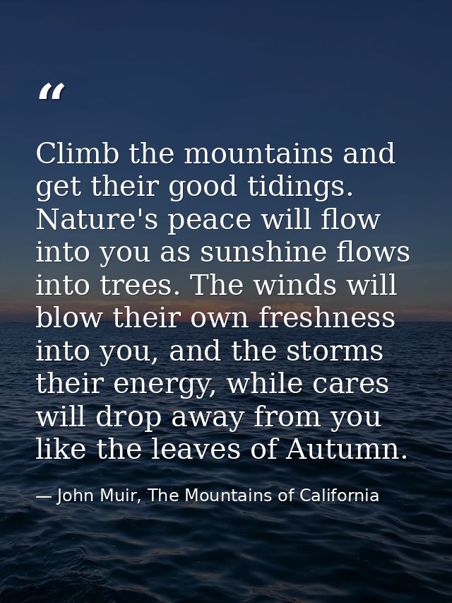 Climb the mountains and get their good tidings. Nature's peace will flow into you as sunshine flows into trees. The wind — John Muir, The Mountains of California