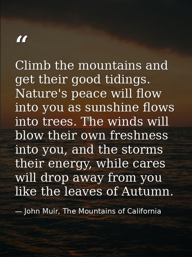 Climb the mountains and get their good tidings. Nature's peace will flow into you as sunshine flows into trees. The wind — John Muir, The Mountains of California