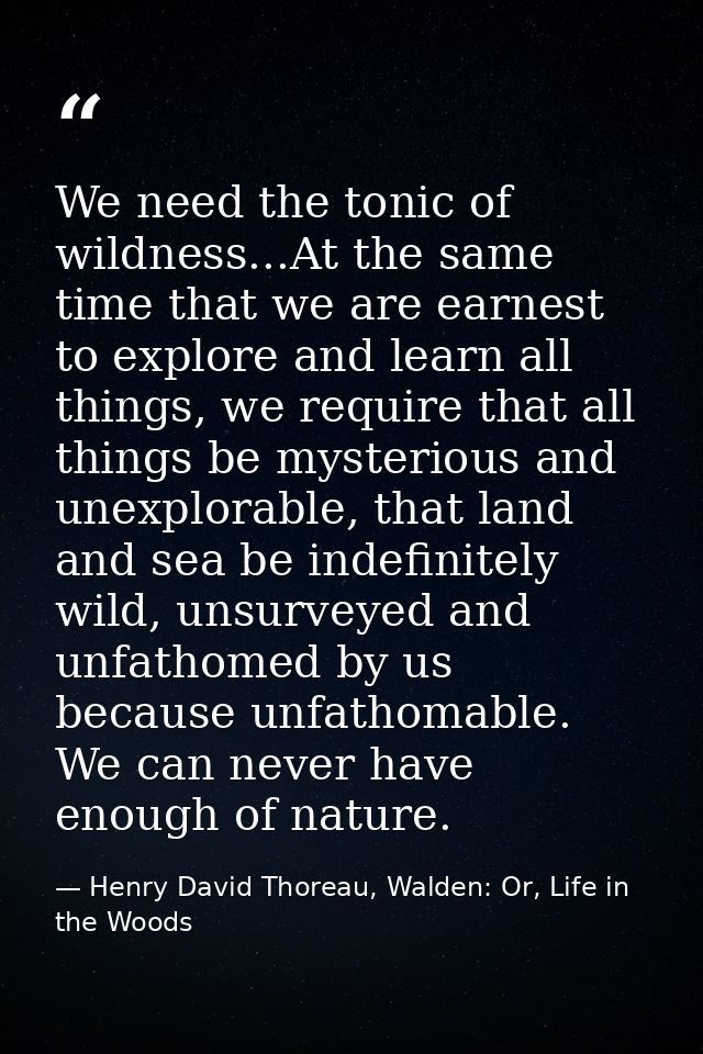 We need the tonic of wildness...At the same time that we are earnest to explore and learn all things, we require that al — Henry David Thoreau, Walden: Or, Life in the Woods