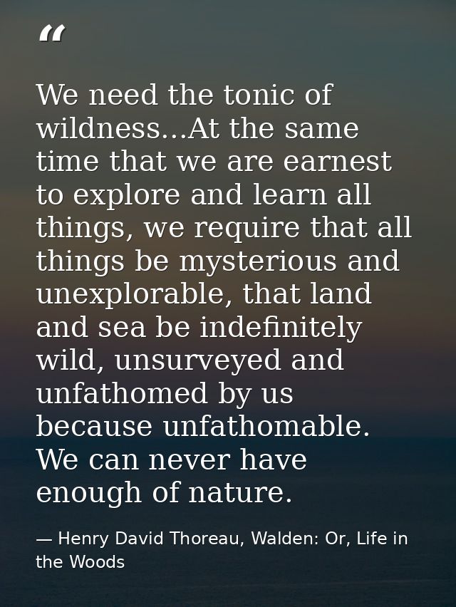 We need the tonic of wildness...At the same time that we are earnest to explore and learn all things, we require that al — Henry David Thoreau, Walden: Or, Life in the Woods