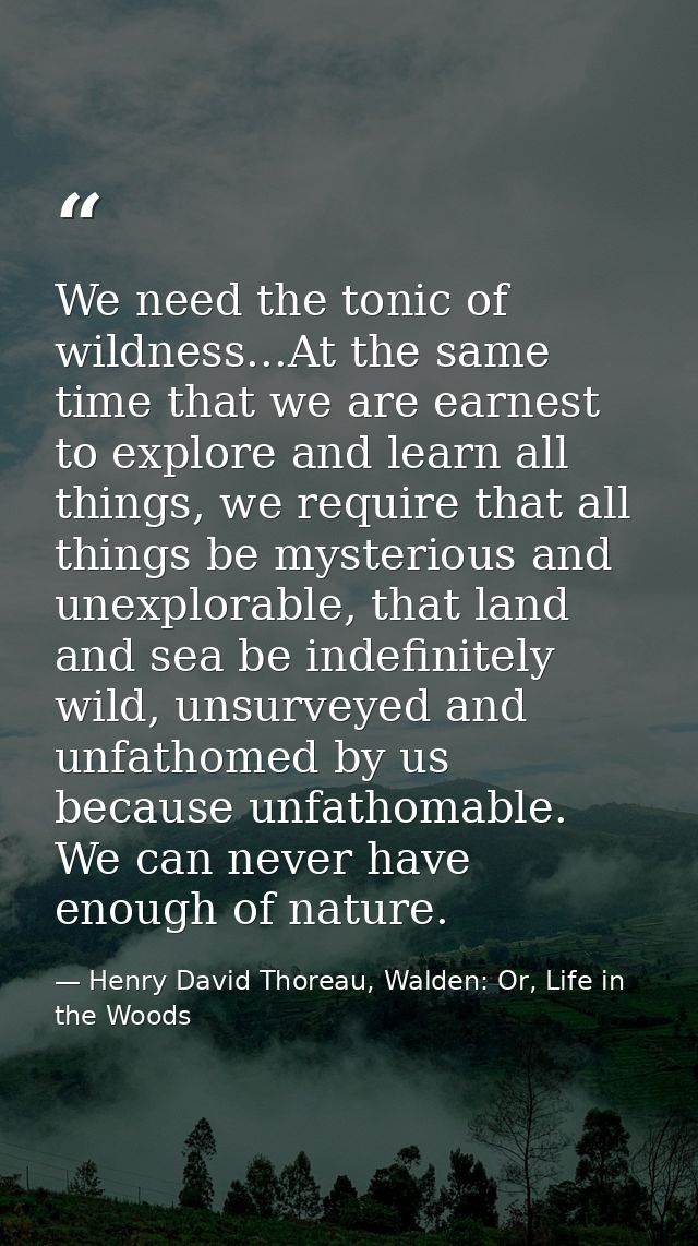 We need the tonic of wildness...At the same time that we are earnest to explore and learn all things, we require that al — Henry David Thoreau, Walden: Or, Life in the Woods