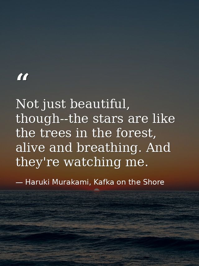 Not just beautiful, though--the stars are like the trees in the forest, alive and breathing. And they're watching me. — Haruki Murakami, Kafka on the Shore