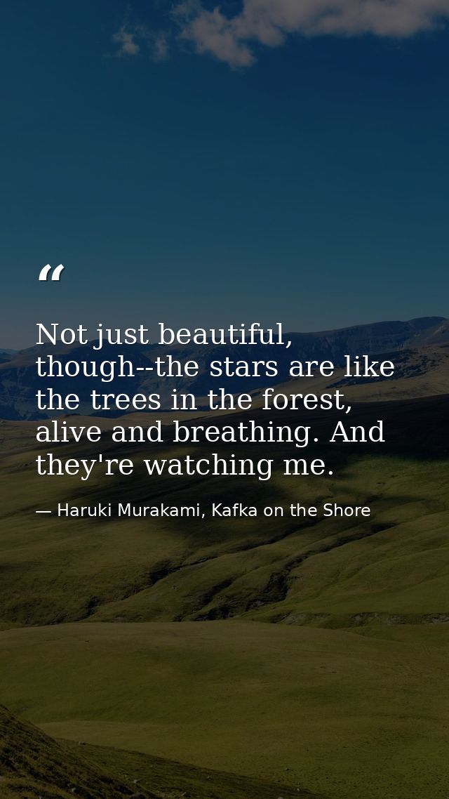 Not just beautiful, though--the stars are like the trees in the forest, alive and breathing. And they're watching me. — Haruki Murakami, Kafka on the Shore