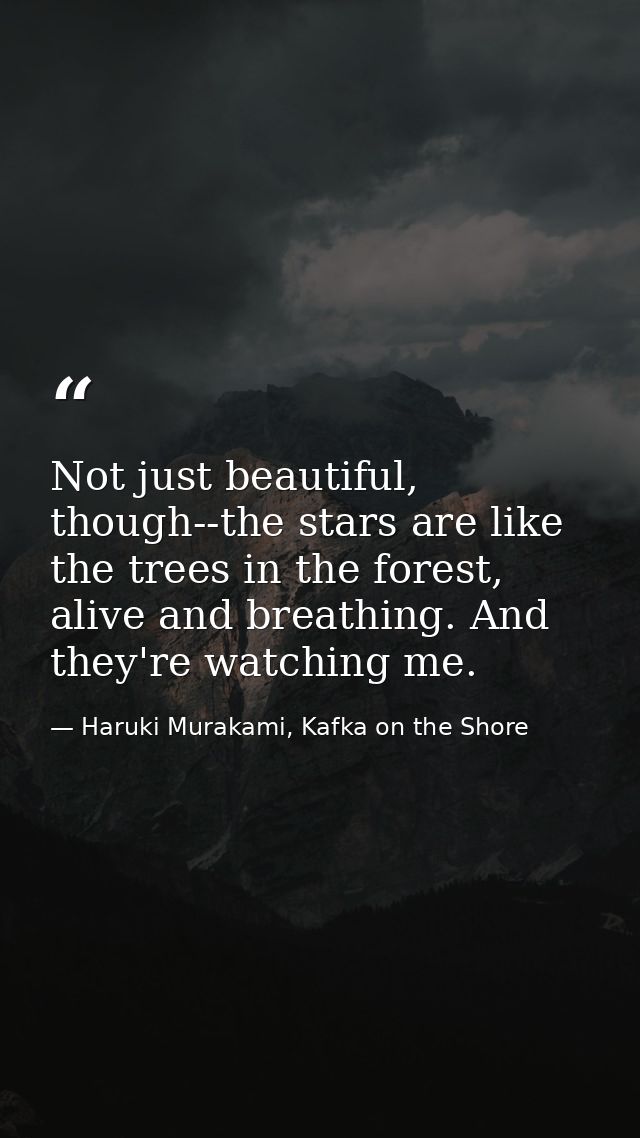 Not just beautiful, though--the stars are like the trees in the forest, alive and breathing. And they're watching me. — Haruki Murakami, Kafka on the Shore