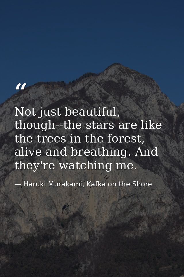 Not just beautiful, though--the stars are like the trees in the forest, alive and breathing. And they're watching me. — Haruki Murakami, Kafka on the Shore