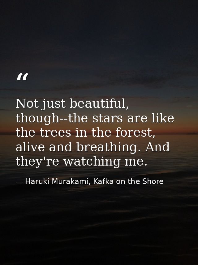Not just beautiful, though--the stars are like the trees in the forest, alive and breathing. And they're watching me. — Haruki Murakami, Kafka on the Shore
