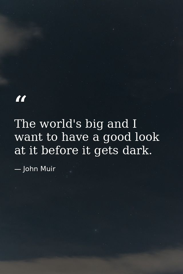 The world's big and I want to have a good look at it before it gets dark. — John Muir