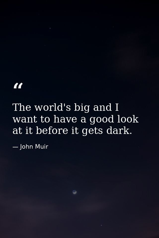 The world's big and I want to have a good look at it before it gets dark. — John Muir
