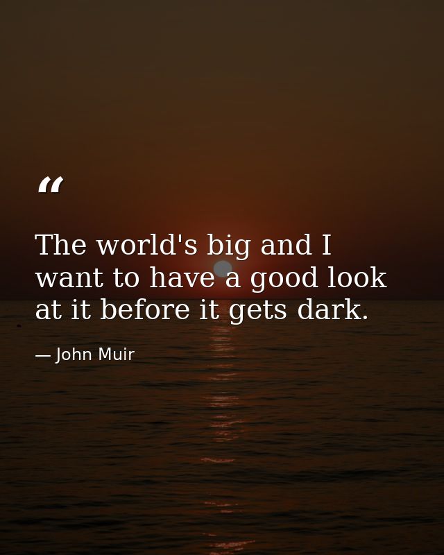 The world's big and I want to have a good look at it before it gets dark. — John Muir