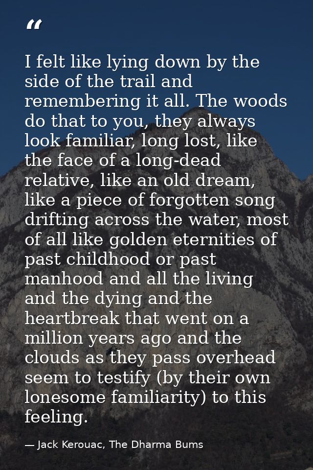 I felt like lying down by the side of the trail and remembering it all. The woods do that to you, they always look famil — Jack Kerouac, The Dharma Bums
