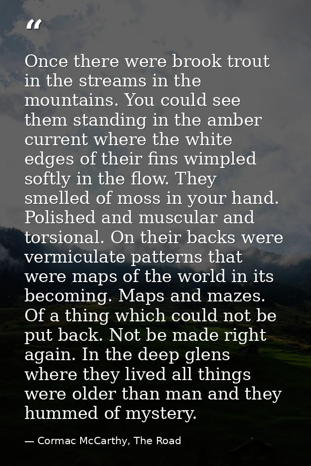 Once there were brook trout in the streams in the mountains. You could see them standing in the amber current where the  — Cormac McCarthy, The Road