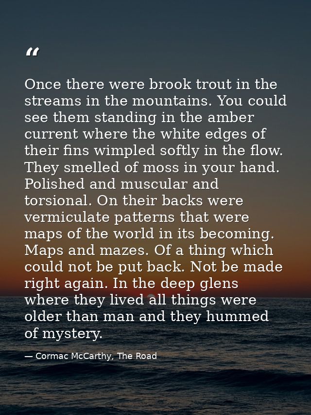 Once there were brook trout in the streams in the mountains. You could see them standing in the amber current where the  — Cormac McCarthy, The Road