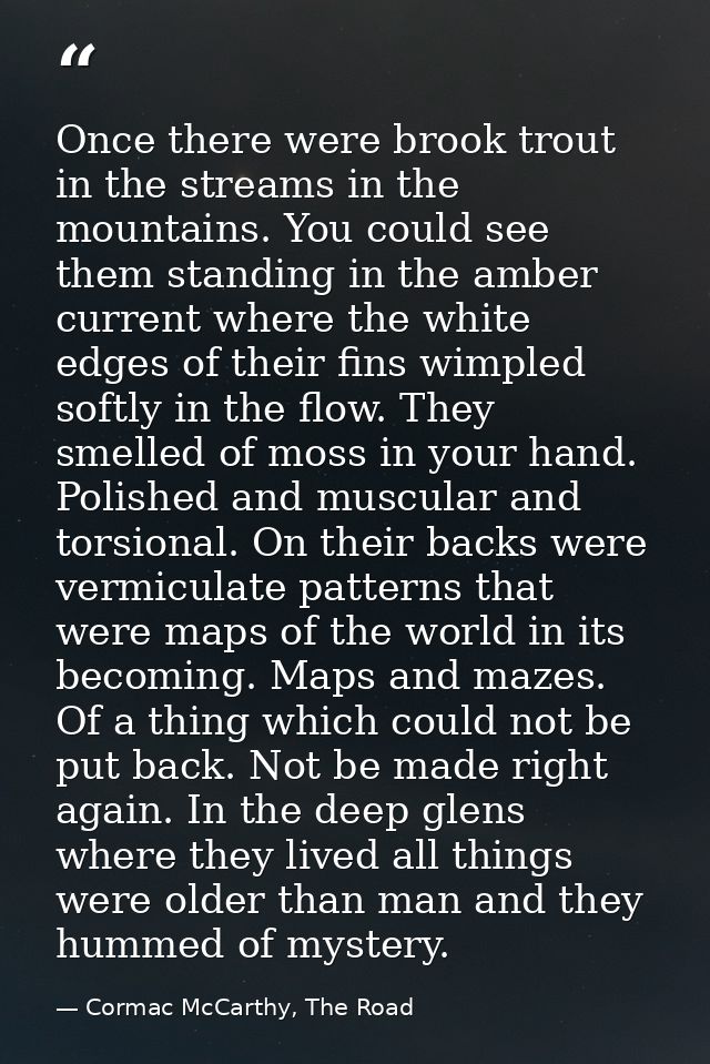 Once there were brook trout in the streams in the mountains. You could see them standing in the amber current where the  — Cormac McCarthy, The Road