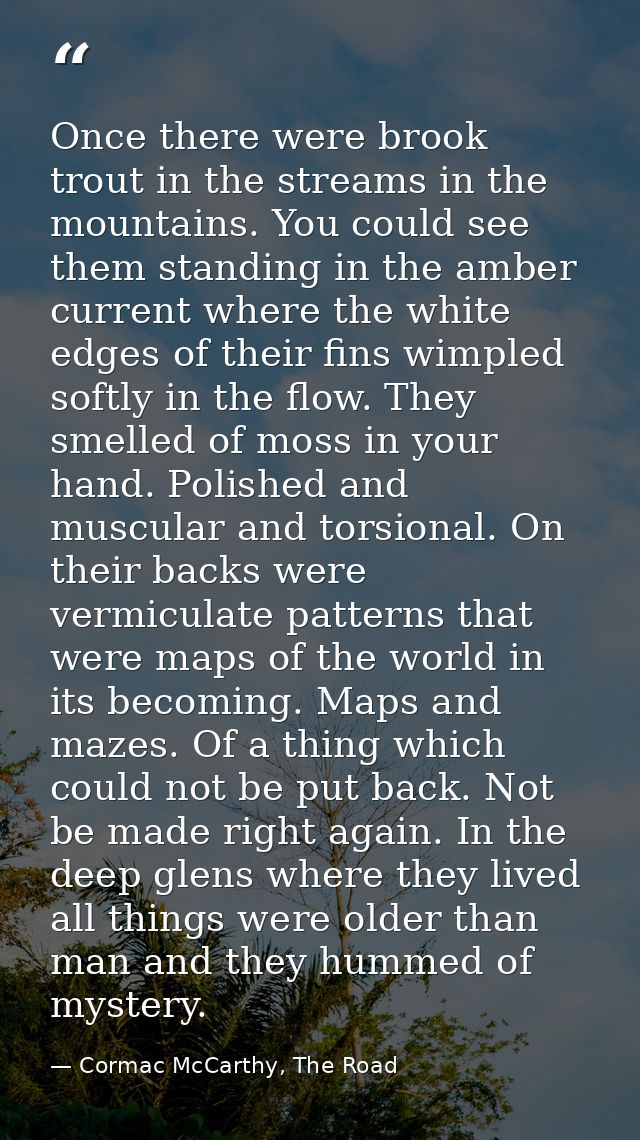 Once there were brook trout in the streams in the mountains. You could see them standing in the amber current where the  — Cormac McCarthy, The Road