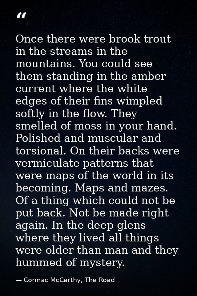Once there were brook trout in the streams in the mountains. You could see them standing in the amber current where the  — Cormac McCarthy, The Road