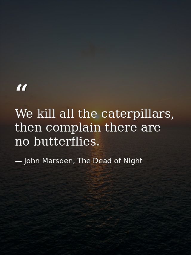 We kill all the caterpillars, then complain there are no butterflies. — John Marsden, The Dead of Night