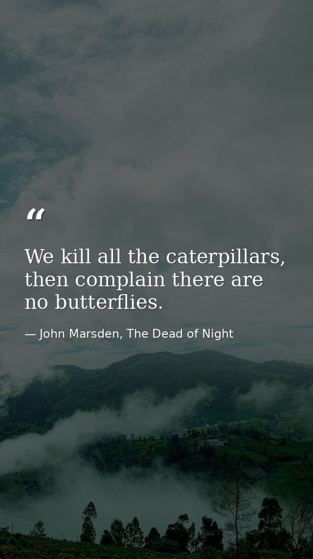 We kill all the caterpillars, then complain there are no butterflies. — John Marsden, The Dead of Night