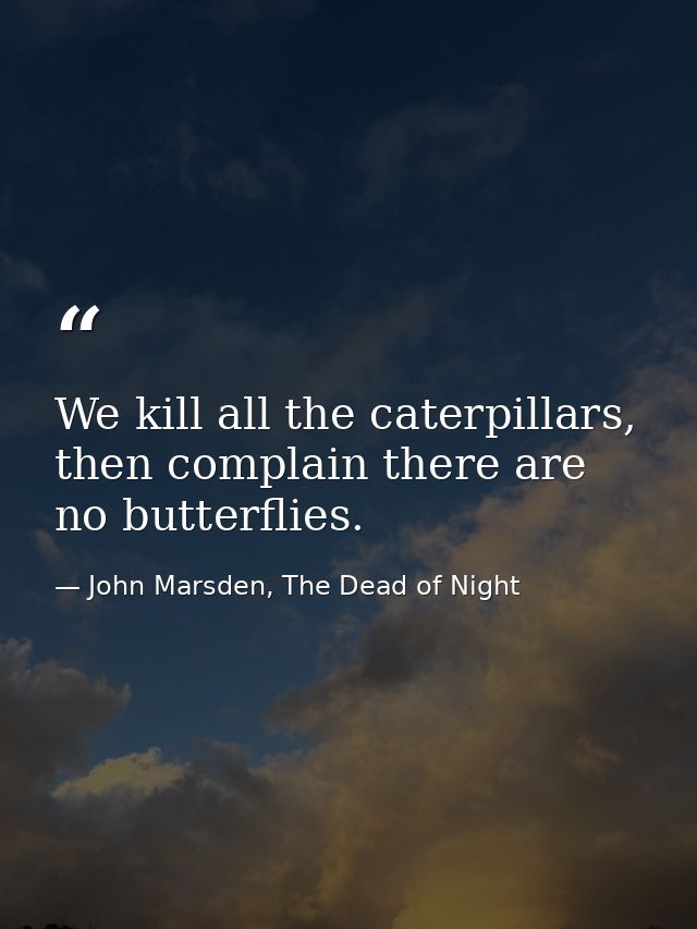 We kill all the caterpillars, then complain there are no butterflies. — John Marsden, The Dead of Night