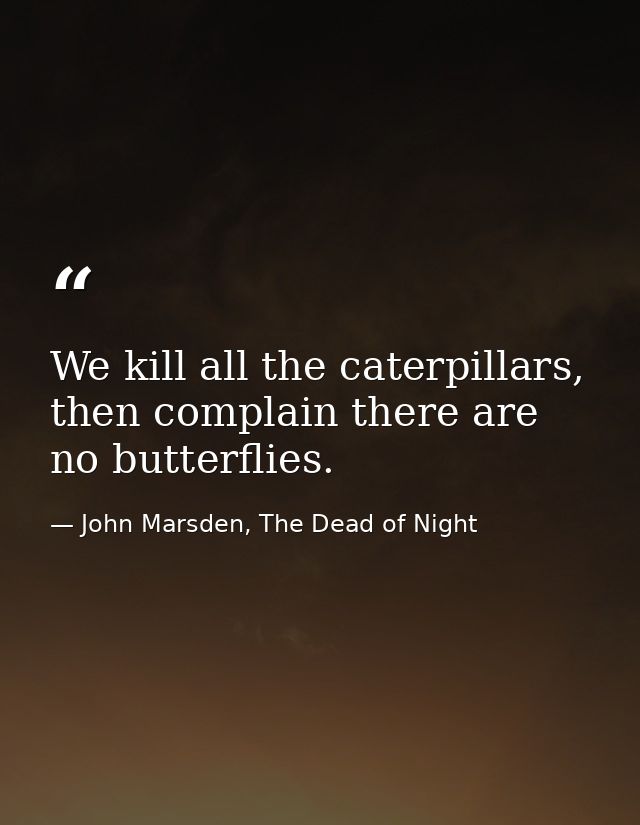 We kill all the caterpillars, then complain there are no butterflies. — John Marsden, The Dead of Night