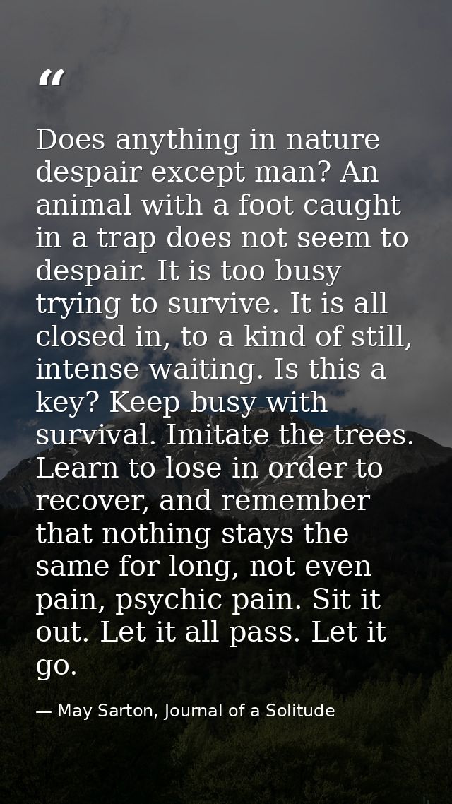 Does anything in nature despair except man? An animal with a foot caught in a trap does not seem to despair. It is too b — May Sarton, Journal of a Solitude