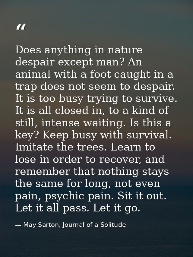 Does anything in nature despair except man? An animal with a foot caught in a trap does not seem to despair. It is too b — May Sarton, Journal of a Solitude