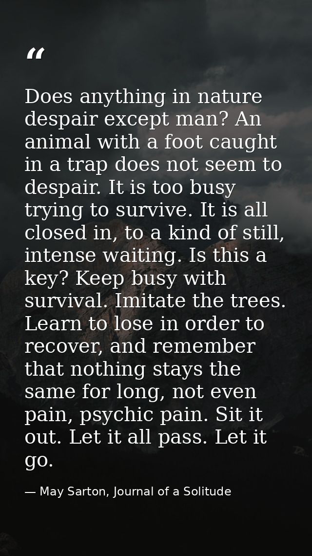Does anything in nature despair except man? An animal with a foot caught in a trap does not seem to despair. It is too b — May Sarton, Journal of a Solitude