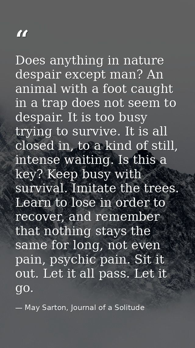 Does anything in nature despair except man? An animal with a foot caught in a trap does not seem to despair. It is too b — May Sarton, Journal of a Solitude