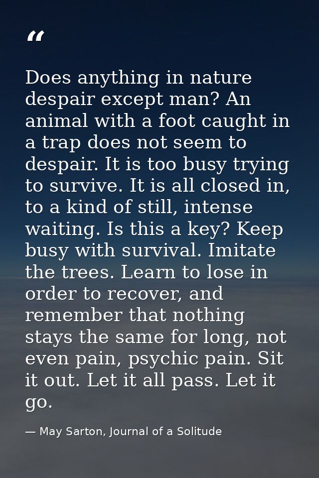 Does anything in nature despair except man? An animal with a foot caught in a trap does not seem to despair. It is too b — May Sarton, Journal of a Solitude