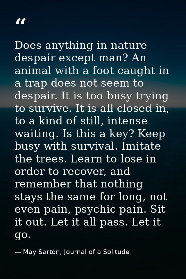 Does anything in nature despair except man? An animal with a foot caught in a trap does not seem to despair. It is too b — May Sarton, Journal of a Solitude