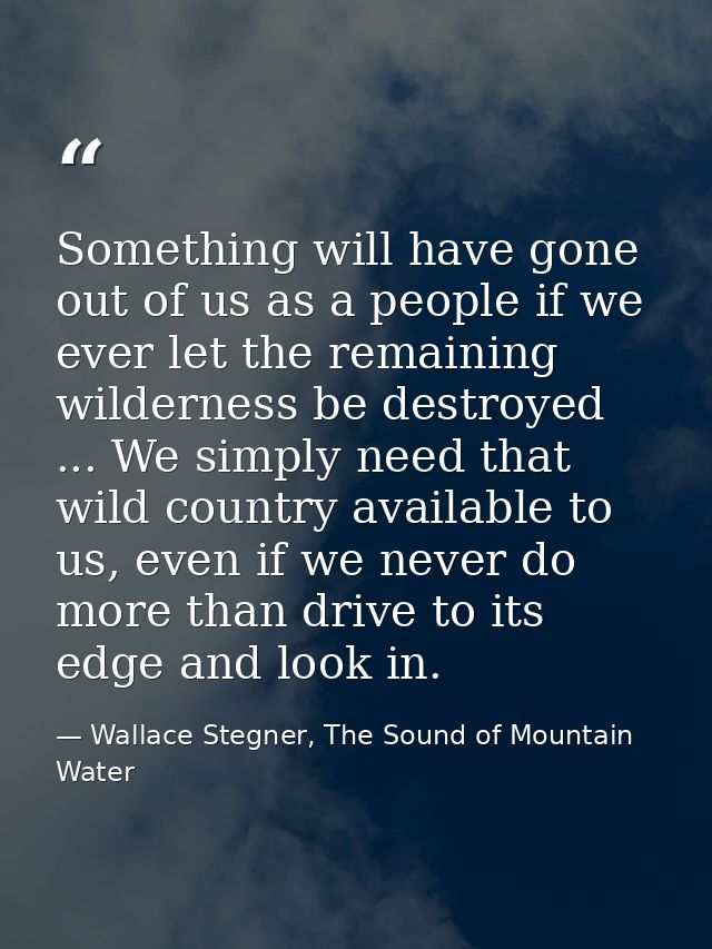 Something will have gone out of us as a people if we ever let the remaining wilderness be destroyed ... We simply need t — Wallace Stegner, The Sound of Mountain Water