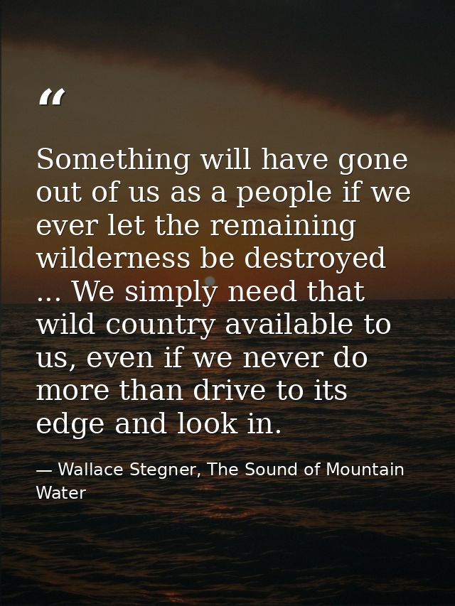 Something will have gone out of us as a people if we ever let the remaining wilderness be destroyed ... We simply need t — Wallace Stegner, The Sound of Mountain Water
