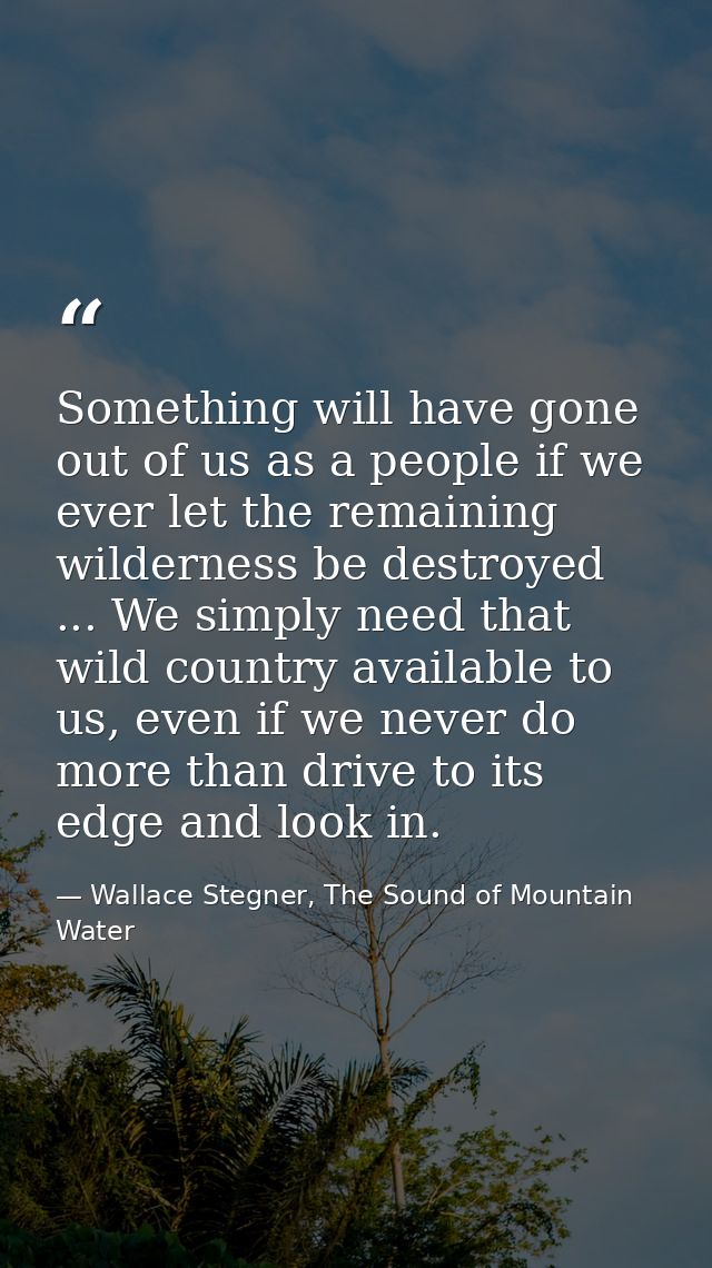Something will have gone out of us as a people if we ever let the remaining wilderness be destroyed ... We simply need t — Wallace Stegner, The Sound of Mountain Water
