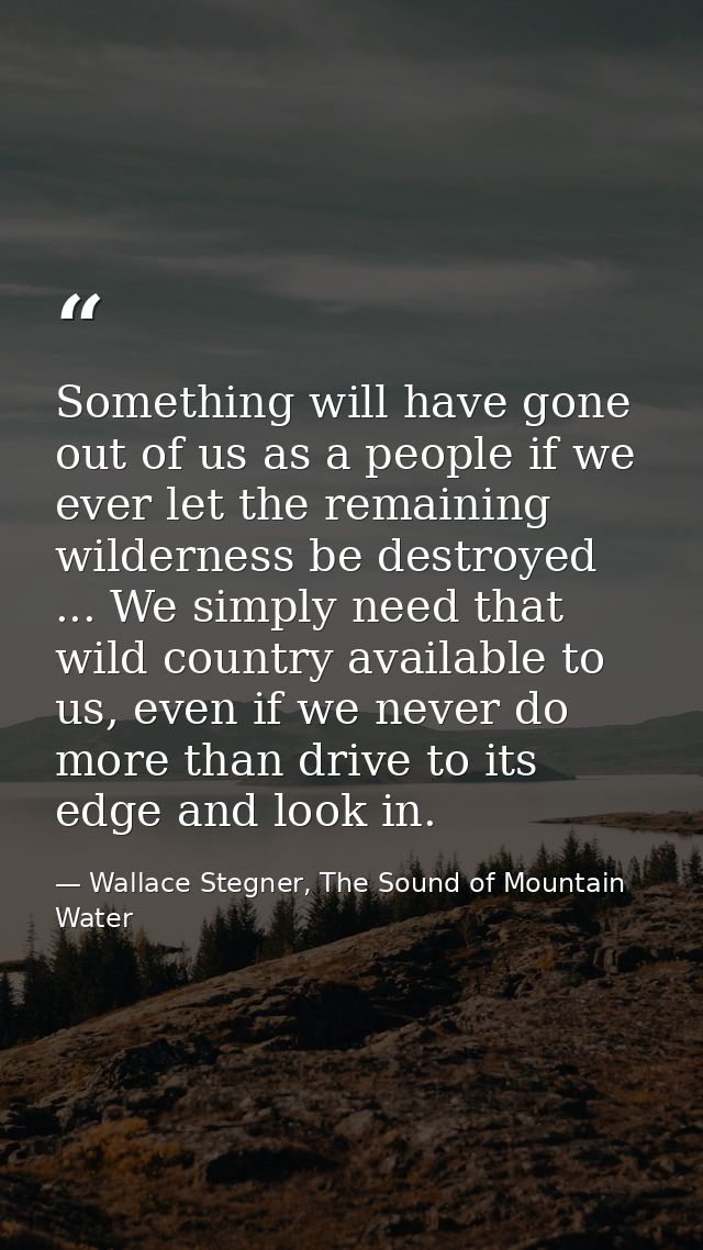 Something will have gone out of us as a people if we ever let the remaining wilderness be destroyed ... We simply need t — Wallace Stegner, The Sound of Mountain Water