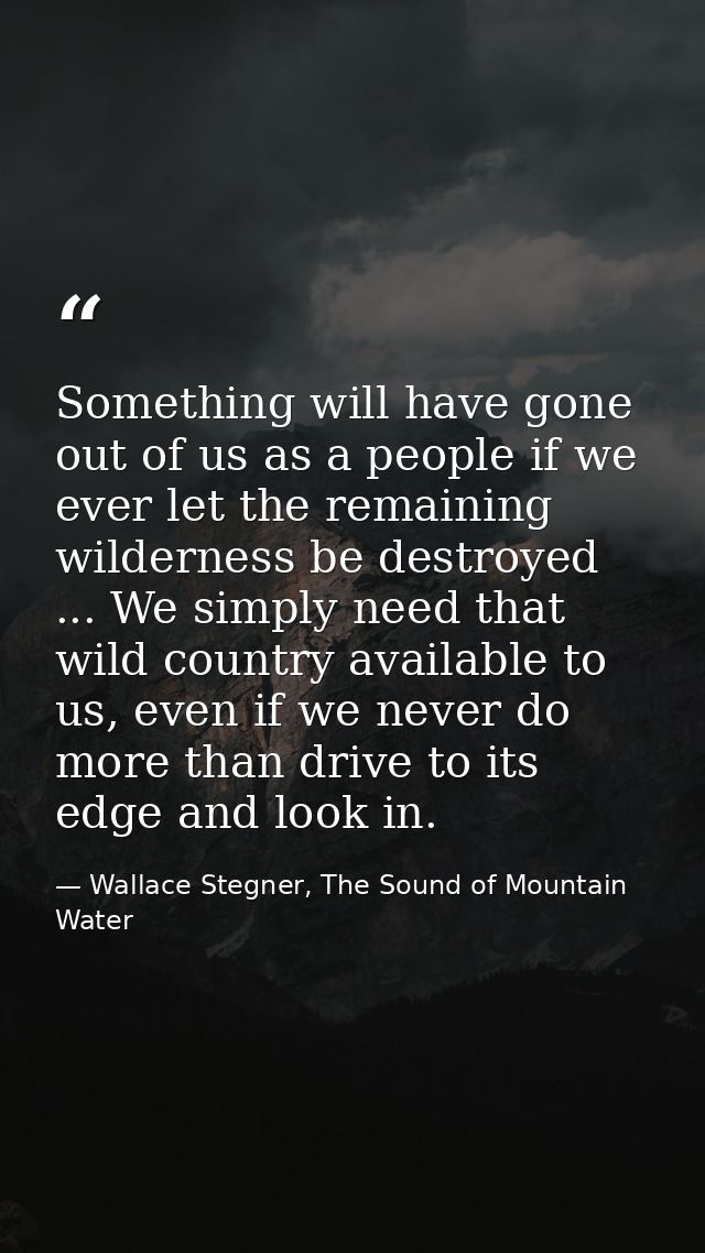 Something will have gone out of us as a people if we ever let the remaining wilderness be destroyed ... We simply need t — Wallace Stegner, The Sound of Mountain Water