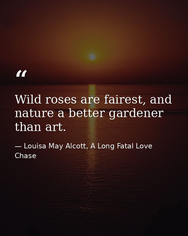 Wild roses are fairest, and nature a better gardener than art. — Louisa May Alcott, A Long Fatal Love Chase