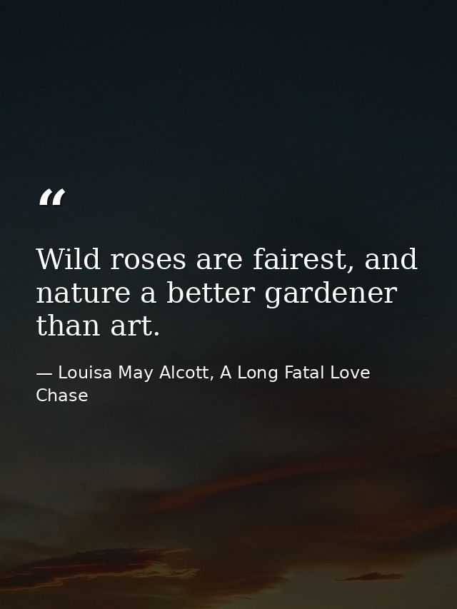 Wild roses are fairest, and nature a better gardener than art. — Louisa May Alcott, A Long Fatal Love Chase