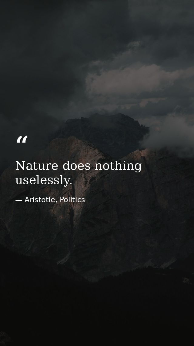 Nature does nothing uselessly. — Aristotle, Politics
