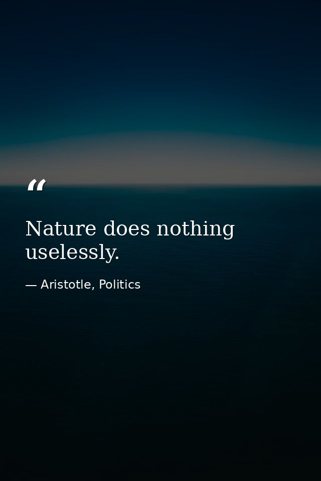 Nature does nothing uselessly. — Aristotle, Politics