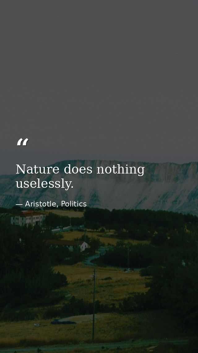 Nature does nothing uselessly. — Aristotle, Politics