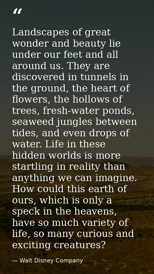 Landscapes of great wonder and beauty lie under our feet and all around us. They are discovered in tunnels in the ground — Walt Disney Company