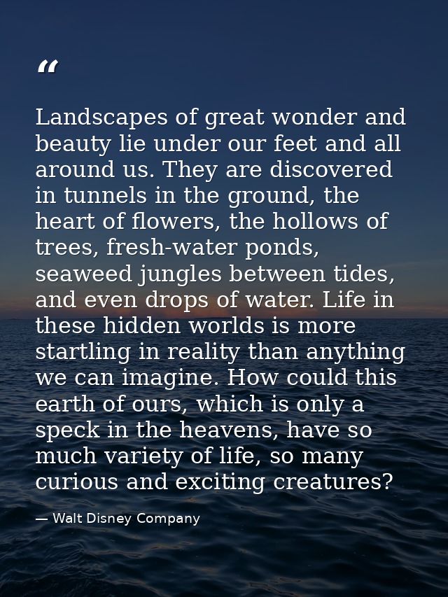 Landscapes of great wonder and beauty lie under our feet and all around us. They are discovered in tunnels in the ground — Walt Disney Company